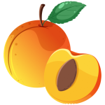 apricot